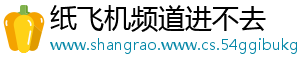 纸飞机频道进不去